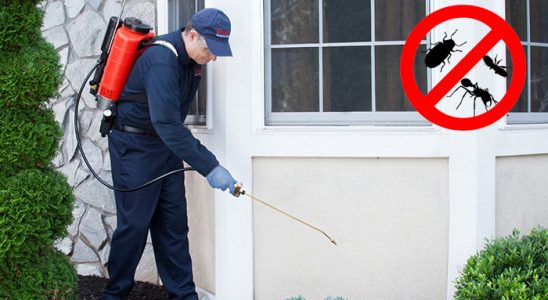 Suşehri Bit İlaçlama böcek ilaçlama ve haşere kontrolü — ilaclama-tr.com